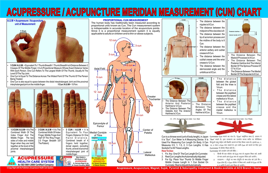 ACS Acupressure/ Acupunture Meridian Cun Measurement Chart  - 359 