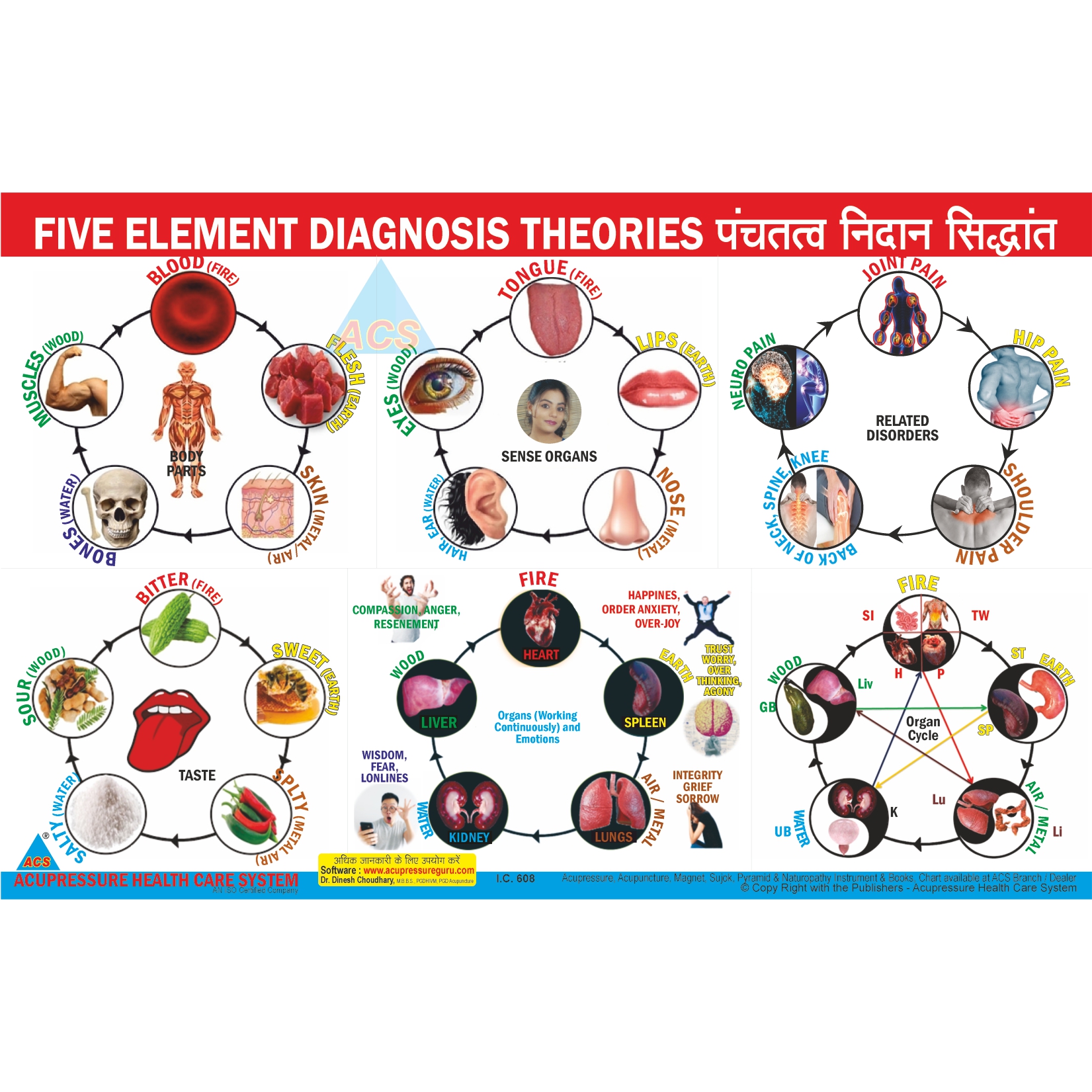 ACS Five Element Diagnosis Theories Chart  - 359 
