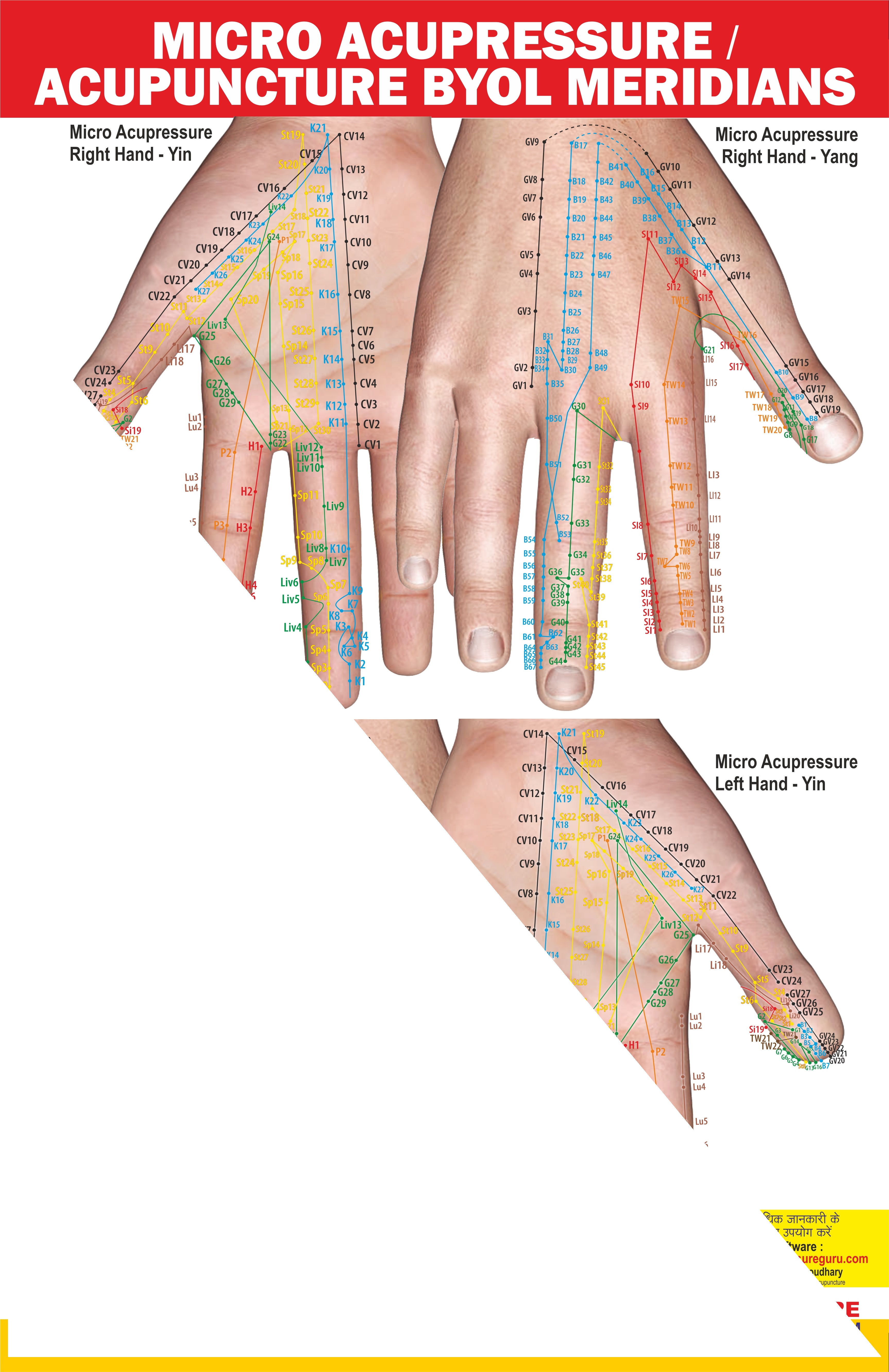 ACS Micro Acupressure / Acupuncture Byol Meridians Chart  - 359 
