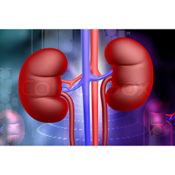 Various Diseas of Kidney  -  