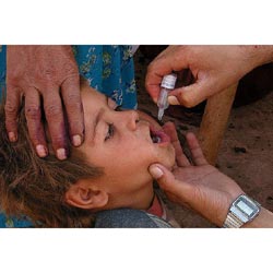 Polio-Poliomyelitis  -  