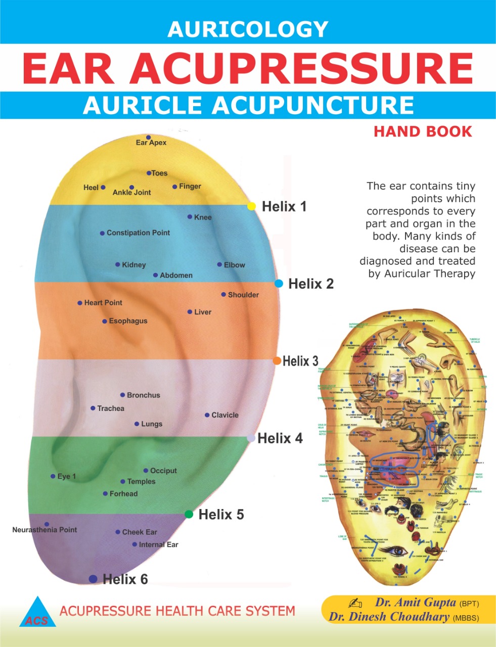 ACS Ear Acupuncture -Auricology Dr. Dinesh & Amit Gupta Book - English - 310 