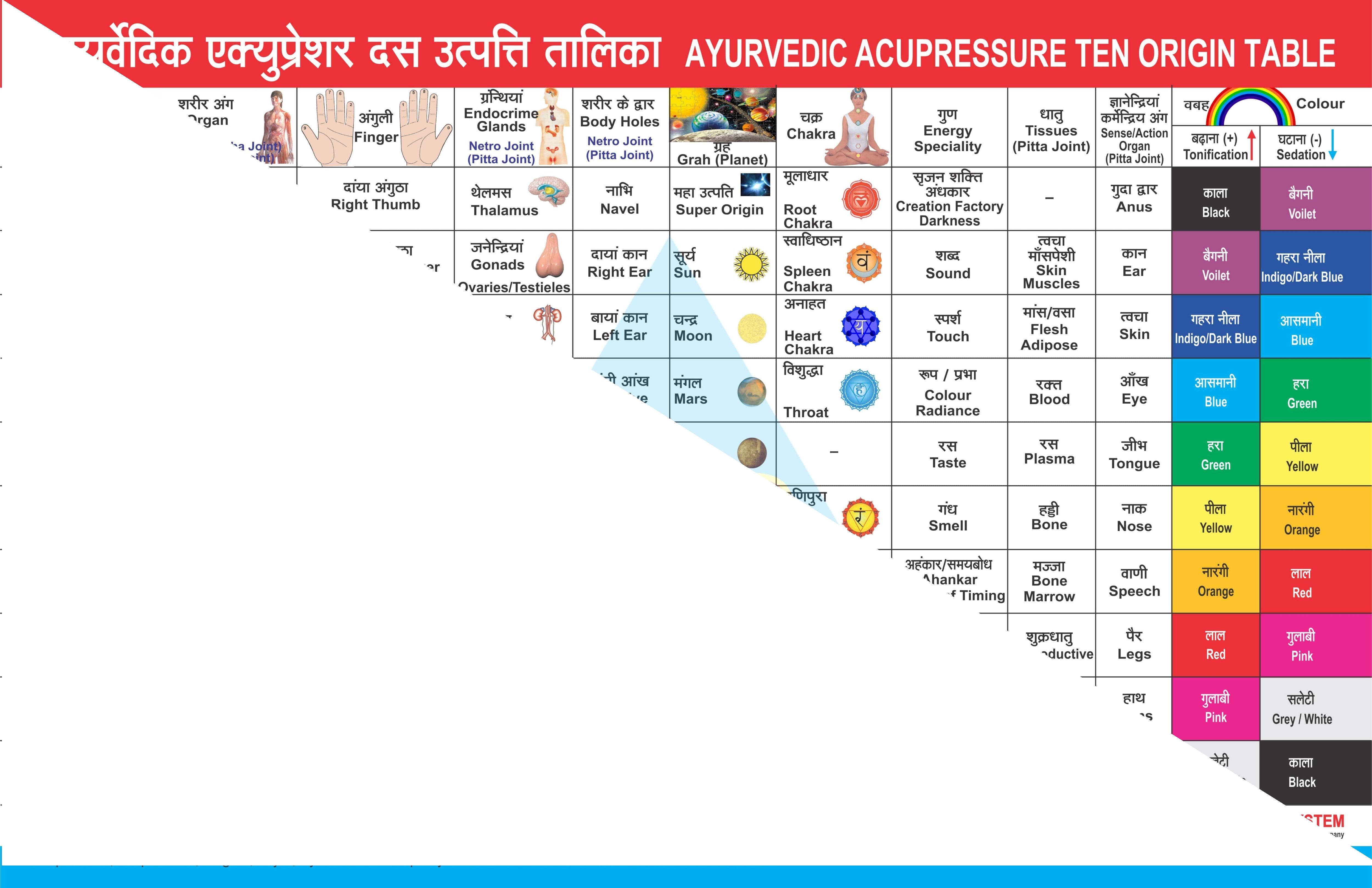 ACS Ayruvidic Chart - Ten Origin  - 359 